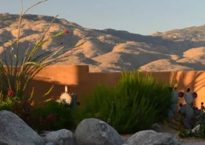 Tucson Desert Hillside Landscape With Shrubs And Ocotillo