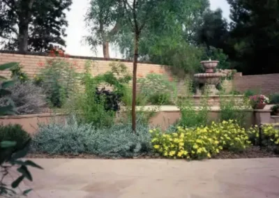 Tucson Landscaping With Shade Trees And Flowering Perennials