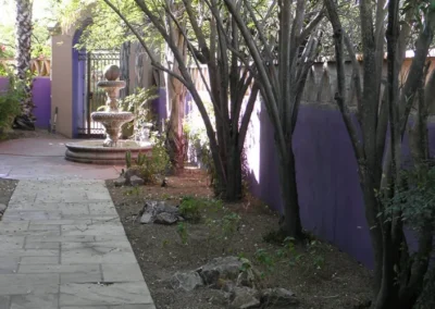 Tucson Xeriscape Path With Trees And Purple Wall