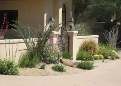 Tucson Xeriscape With Ocotillo, Agave, And Adobe Wall
