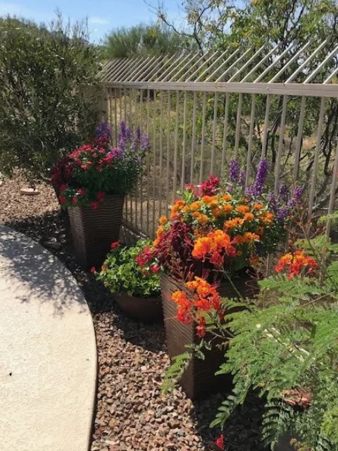 Walkway Planters Walkway Planters