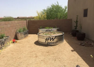 Thriving vegetable bed in Tucson garden
