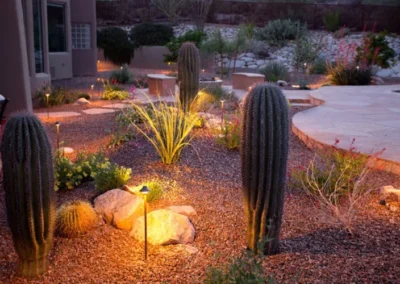 Cactus Garden Night Lighting Design
