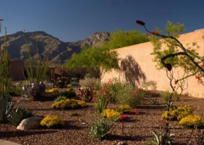 Desert Flower Bed Wall Landscape