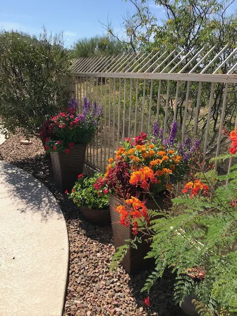 Colorful flower pots in desert garden Colorful flower pots in desert garden