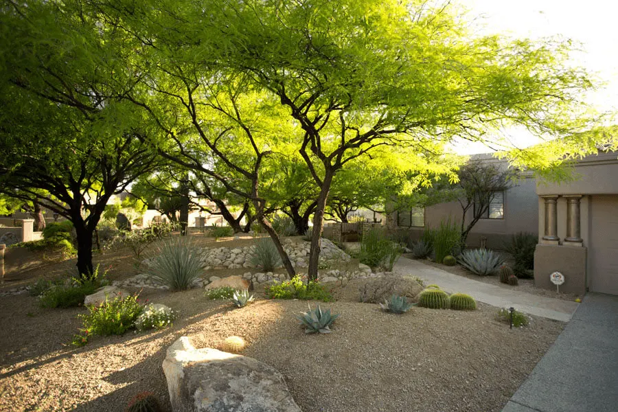 Desert Front House