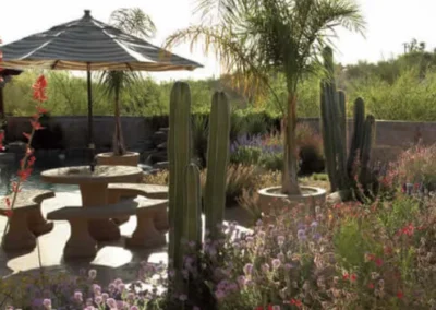 Desert Garden Cactus Seating Area
