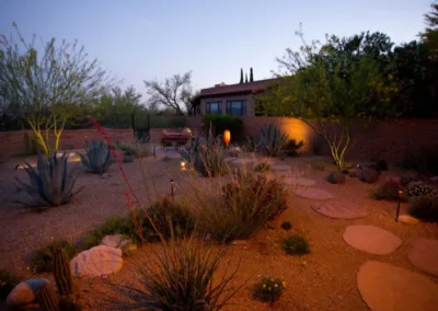 Desert Garden Pathway Evening Lighting