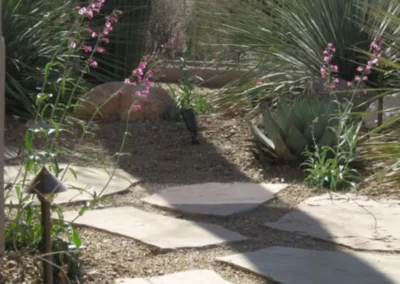 A flagstone garden path surrounded by desert plants including penstemon flowers and succulents
