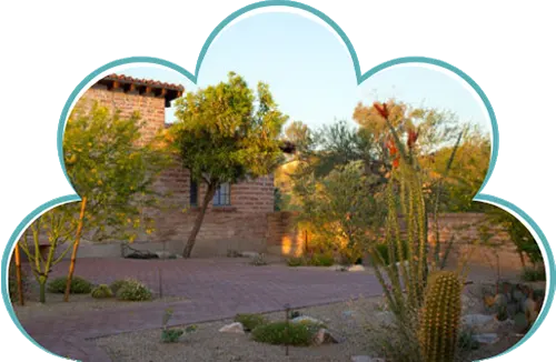 Desert front yard with cactus and paver walkway