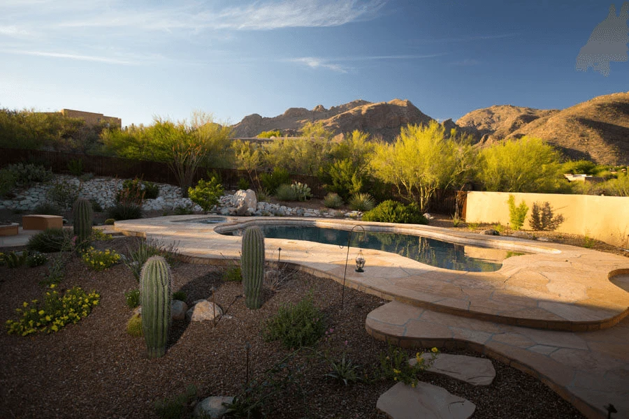 Desert Pool View