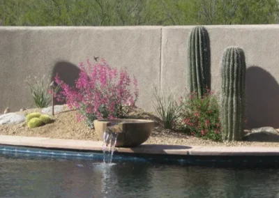Desert Pool Water Fountain Cactus Landscape