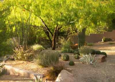 Desert Poolside Flower Landscape