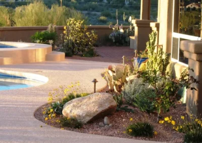 Desert Poolside Landscaping Day