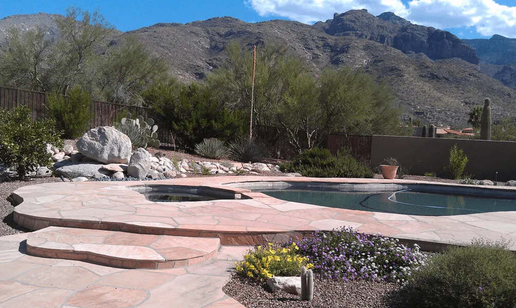Desert Yard Design