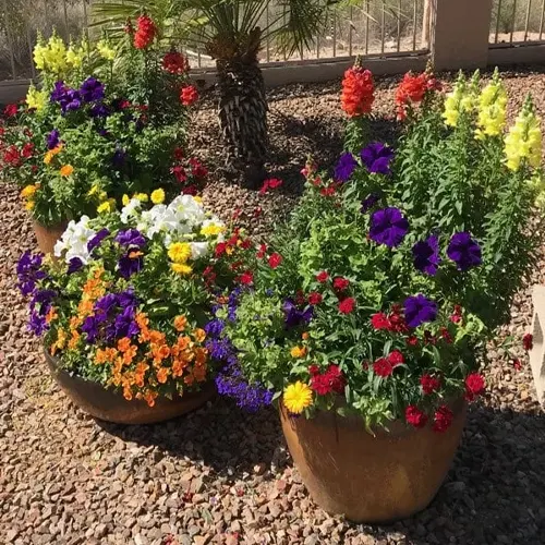 Flower Pots in Garden Img Flower Pots in Garden Img