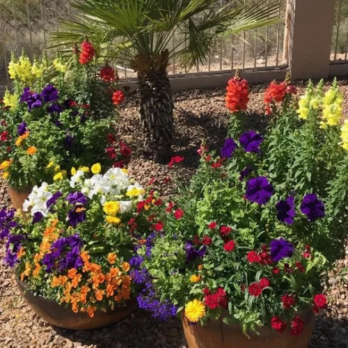 flowers-banner-image flowers-banner-image