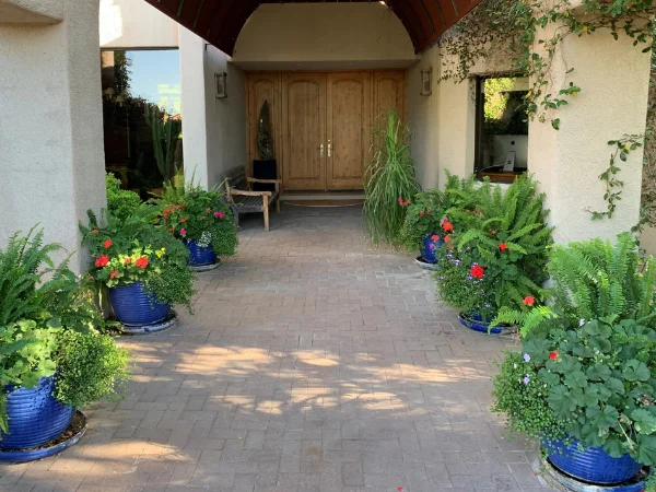 pergola-landscape-design