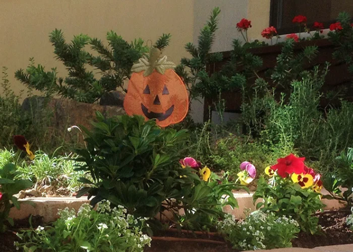 front-yard-flower-bed-design front-yard-flower-bed-design