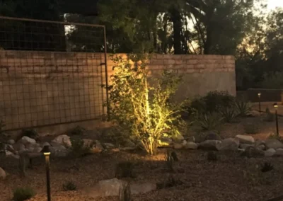 Garden Landscape Lighting Tree