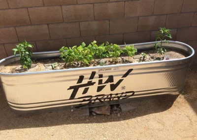 Tucson raised planter with herbs or vegetables