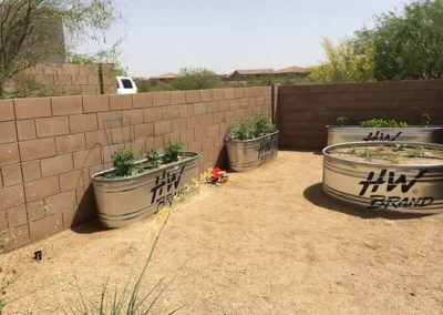 Thriving vegetable bed in Tucson garden