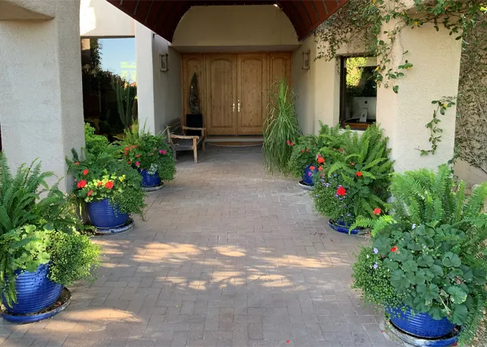 Paver entryway with decorative plants