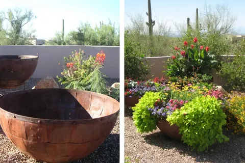 Before and after potted plant arrangement with colorful flowers