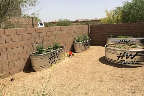 Metal raised garden beds in a desert backyard garden
