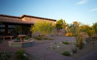 Are your plants looking frail? Sonoran Gardens can help you with your landscape irrigation problems and solutions!