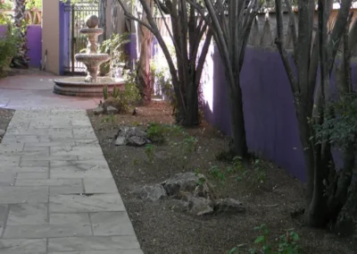 A stone walkway leading toward a stone fountain in a garden with a vibrant purple wall