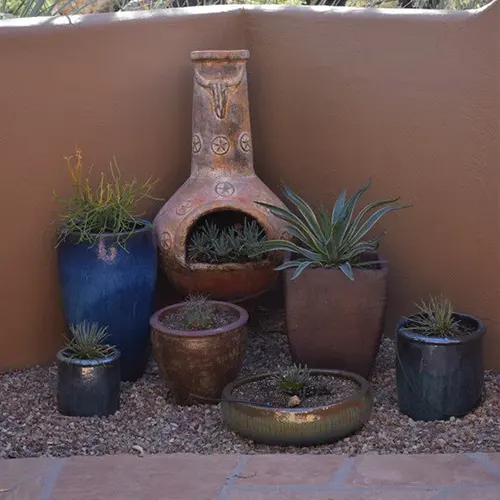 Succulents in ceramic pots around a clay chiminea Succulents in ceramic pots around a clay chiminea