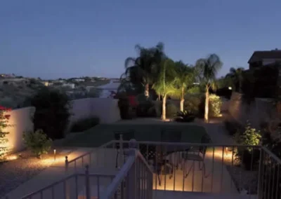 Wall Lighting Desert Plant