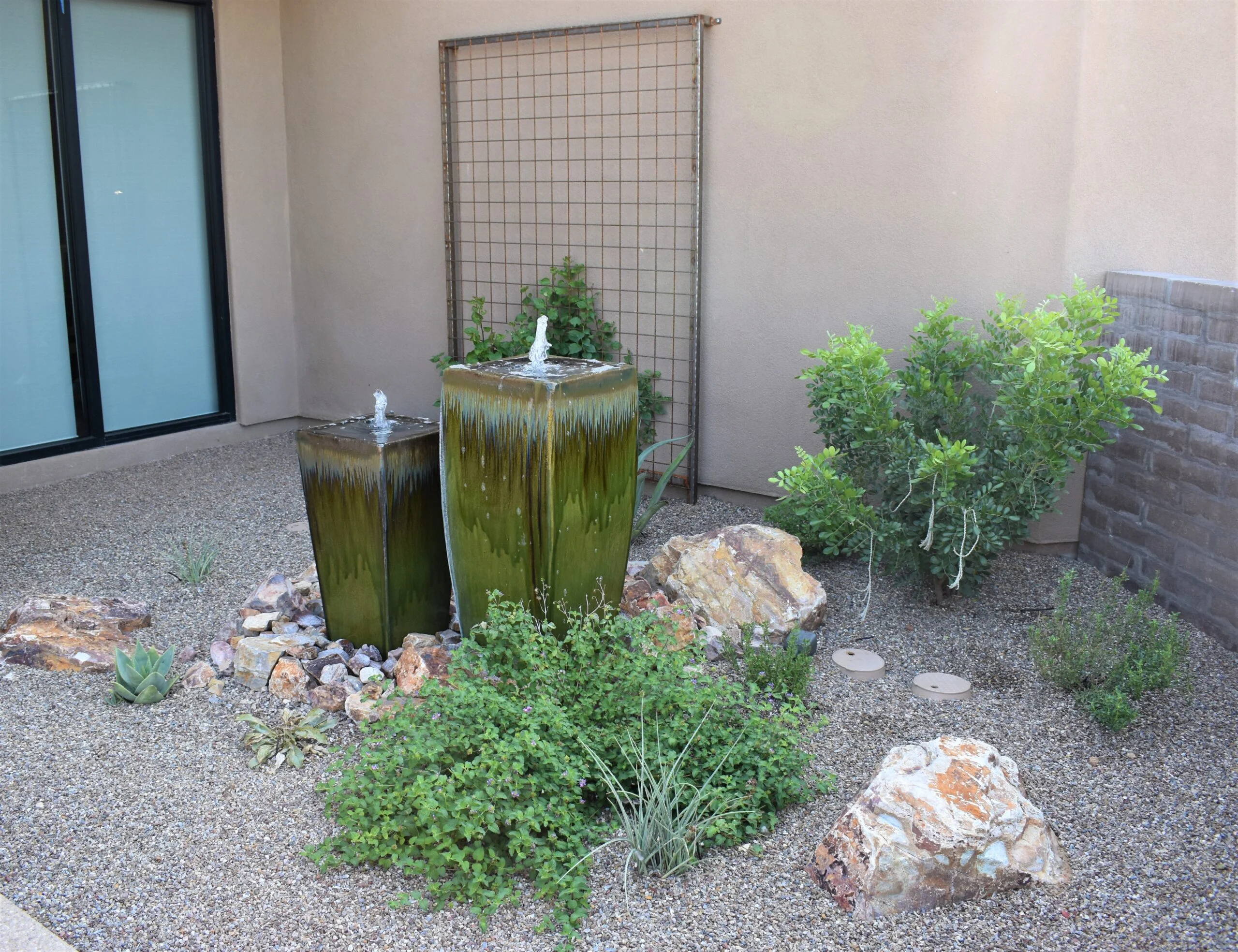 Irrigation system setup with plants and drip lines Tucson Arizona