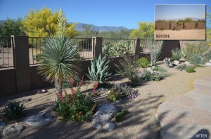 2011 2nd Place Xeriscape Award 