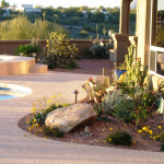 Brick paver patio | Landscape one year after redesign
