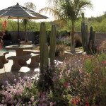 Colored stamped concrete patio in low maintenance desert garden | 2007 APLD Gold Award