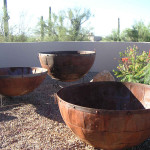 The Contained Gardener by Sonoran Gardens