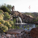 Living pond with waterfall and aquatic plants | 2006 Xeriscape Contest 1st place