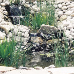 Living pond with waterfall and aquatic plants